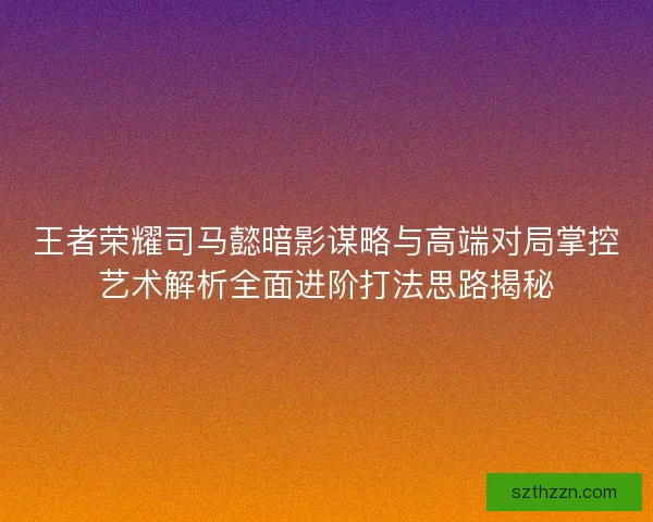 王者荣耀司马懿暗影谋略与高端对局掌控艺术解析全面进阶打法思路揭秘